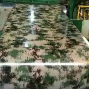 De Kleuren Met een laag bedekte Bladen 800mm van de decoratiecgch Druk PPGI