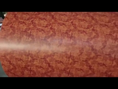 RAL-vooraf geverfte de kleur galvaniseerde ppgikleur van de staalrol met een laag bedekte gegalvaniseerde staalrollen